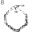 Image: TPBIOL2003_TOCmod-10.jpg