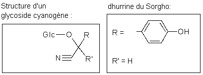 Image: TPBIOL2003_TOCmod-14.jpg