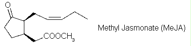 Image: TPBIOL2003_TOCmod-17.jpg