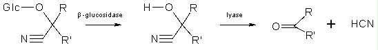 Image: TPBIOL2003_TOCmod-18.jpg