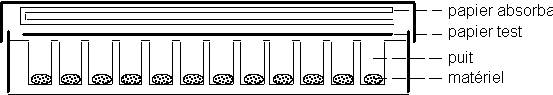 Image: TPBIOL2003_TOCmod-21.jpg