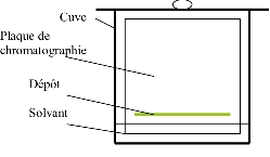 Image: TPBIOL2003_TOCmod-25.jpg