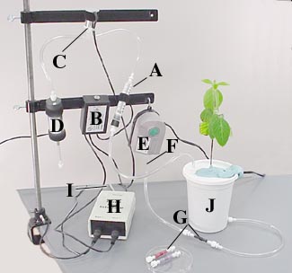 Image: TPBIOL2003_TOCmod-43.jpg