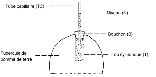 Image: TPBIOL2003_TOCmod-48.jpg
