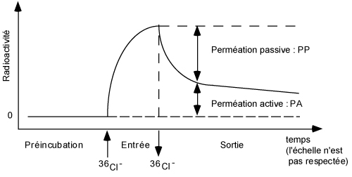 Image: TPBIOL2003_TOCmod-52.jpg