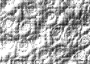 Image: TPBIOL2003_TOCmod-8.jpg